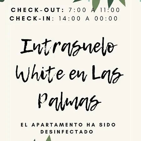Apartment Intrasuelo White En Palmas *